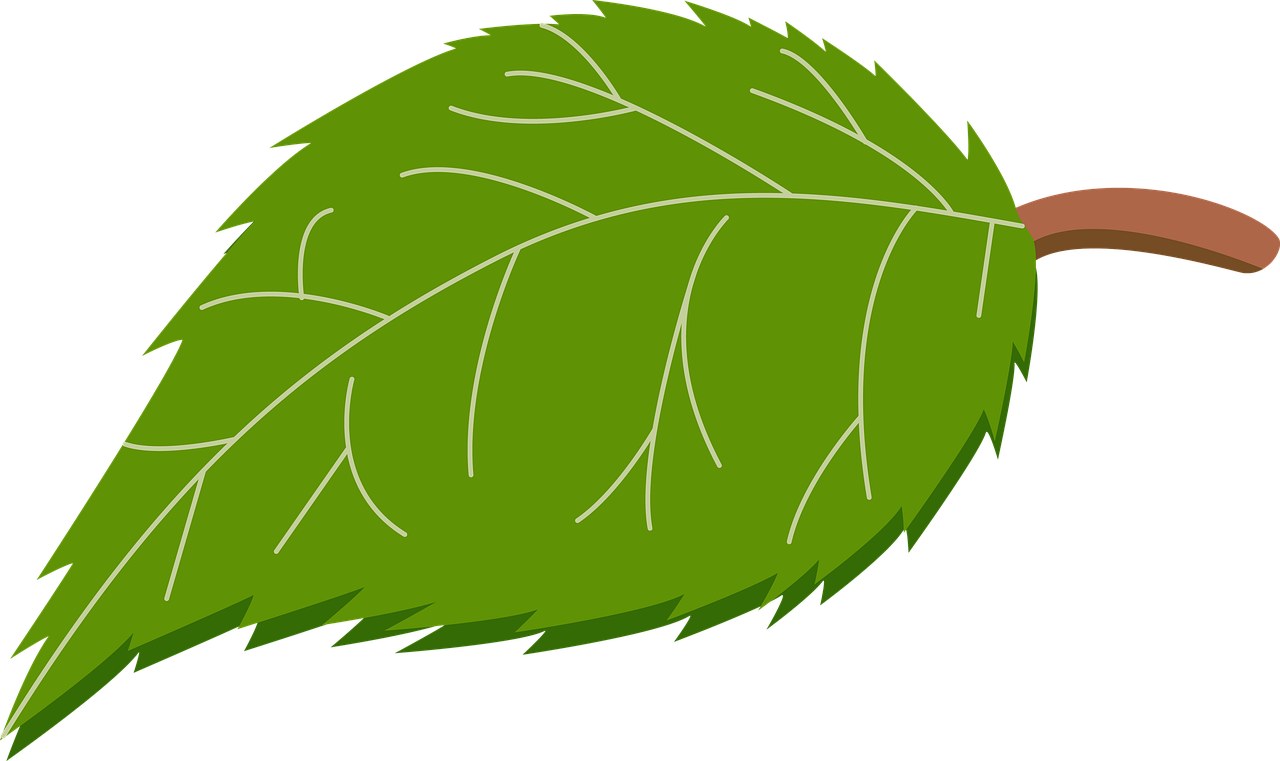 “Vannak a Választópolgárok és van a Nemzet.” Szerkesztőségünkhöz érkezett